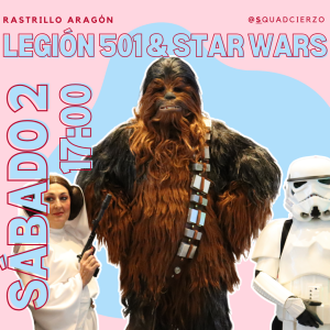 StarWars Rastrillo Ozanam