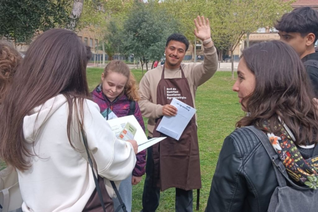 PEX Torrevirreina (2) PEX Torrevirreina