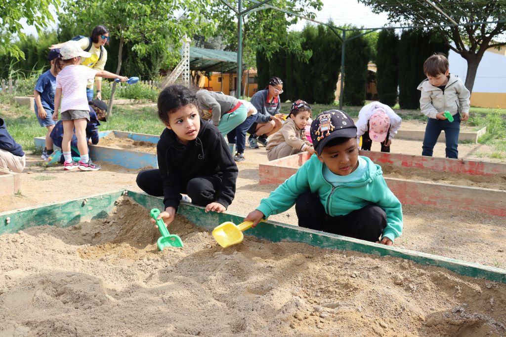 Colonias Torrevirreina 2025 2 (2)