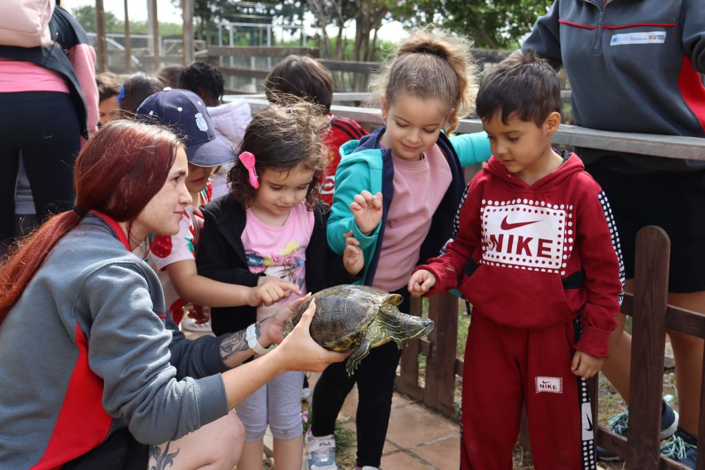 Colonias Torrevirreina 2025 2 (3)
