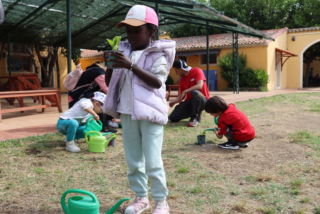 Colonias Torrevirreina 2025 2 (5)