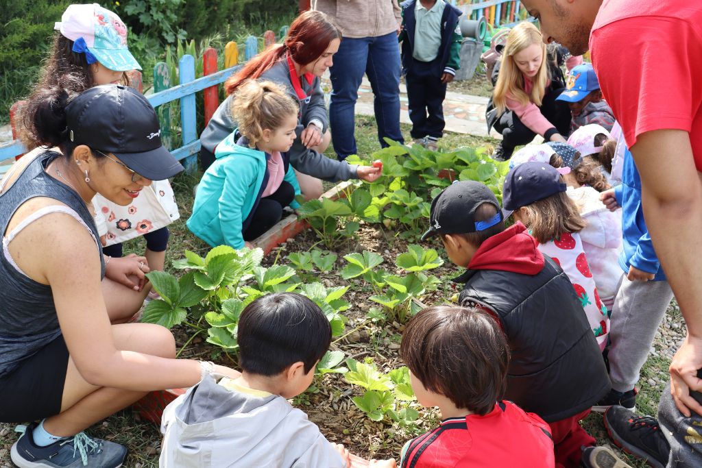 Colonias Torrevirreina 2025 2 (6)