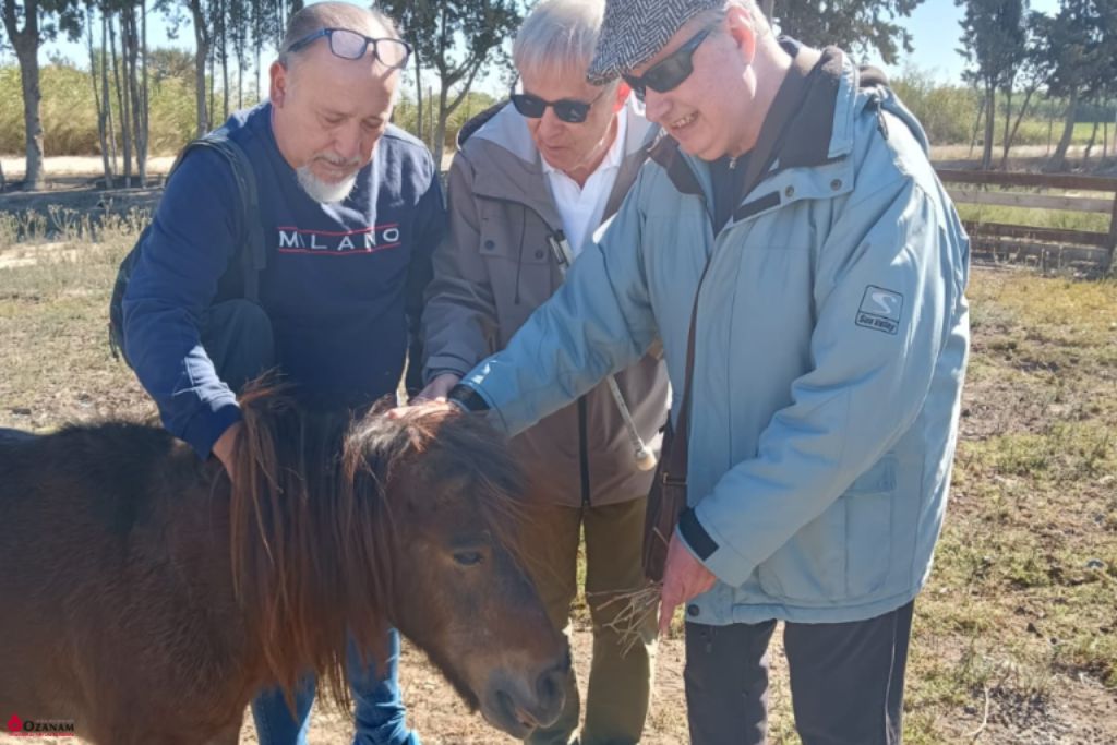 Torrevirreina Educacion Especial (1) Torrevirreina Educacion Especial (1)