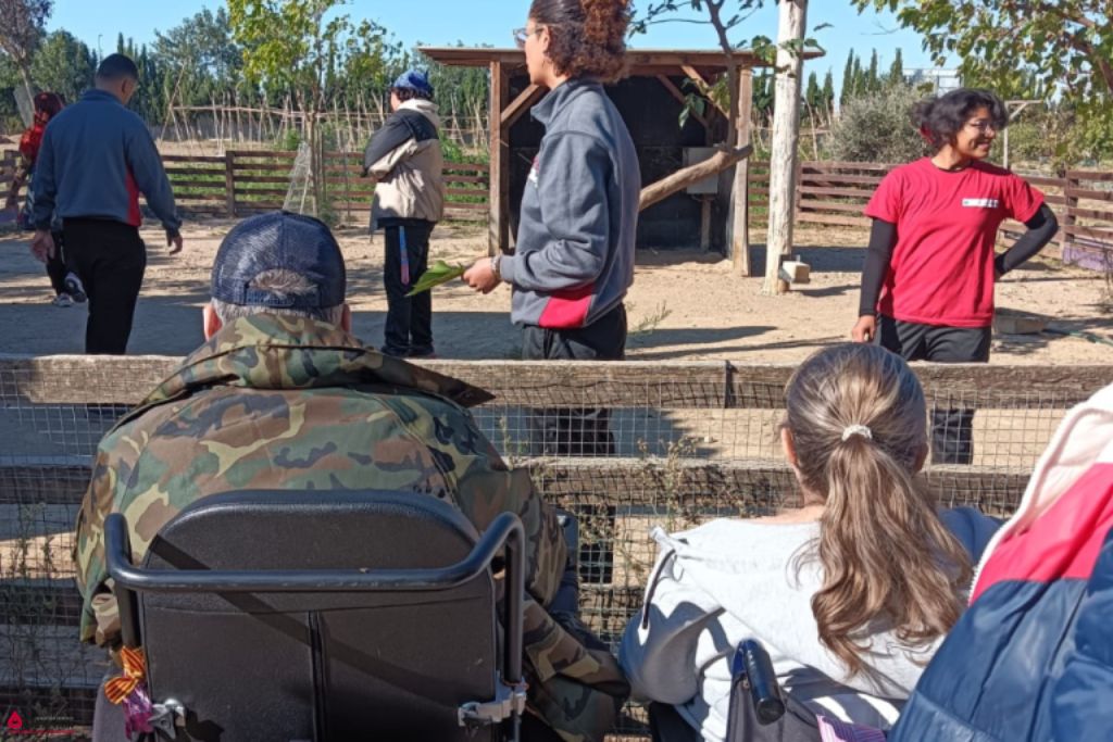 Torrevirreina Educacion Especial (2)