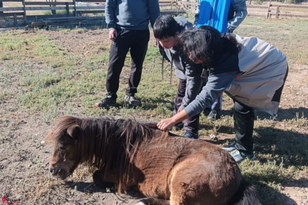Torrevirreina Educacion Especial (3)
