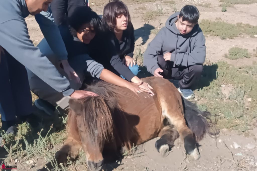 Torrevirreina Educacion Especial (4)