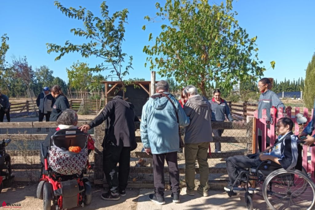 Torrevirreina Educacion Especial (6)