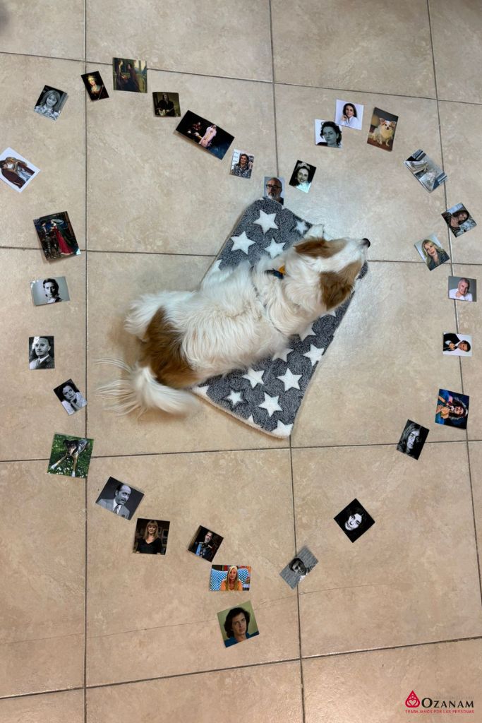 Ozanam Santa Teresa terapia canina (2) Ozanam Santa Teresa terapia canina (1)