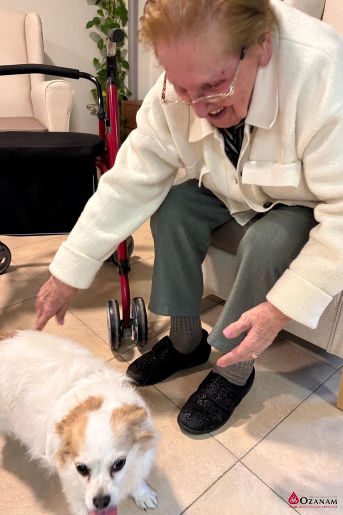 Ozanam Santa Teresa terapia canina (3) Ozanam Santa Teresa terapia canina (1)